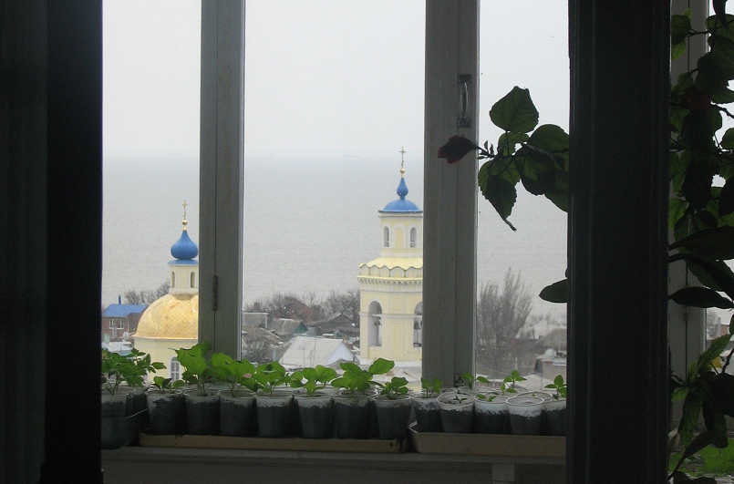 view
